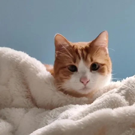 La Casa Blu Alojamento de Acomodação e Pequeno-almoço Nápoles